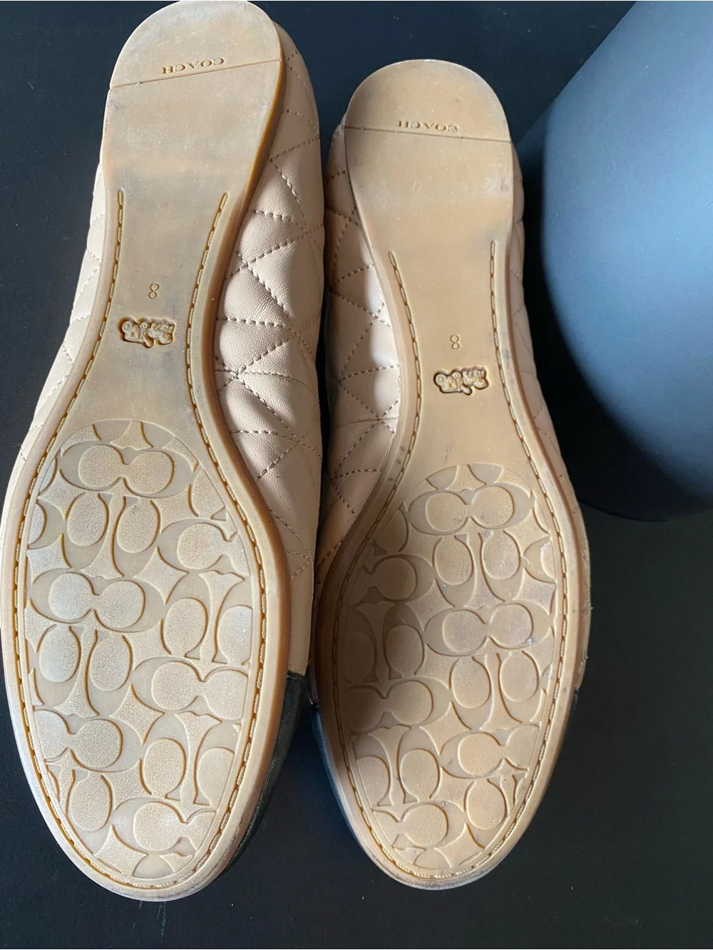 Coach stylish ballet